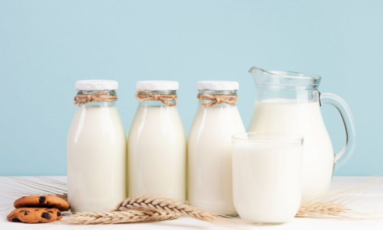 Dairy Industry in North Africa: Challenges, Prospects, and the Path to Self-Sufficiency